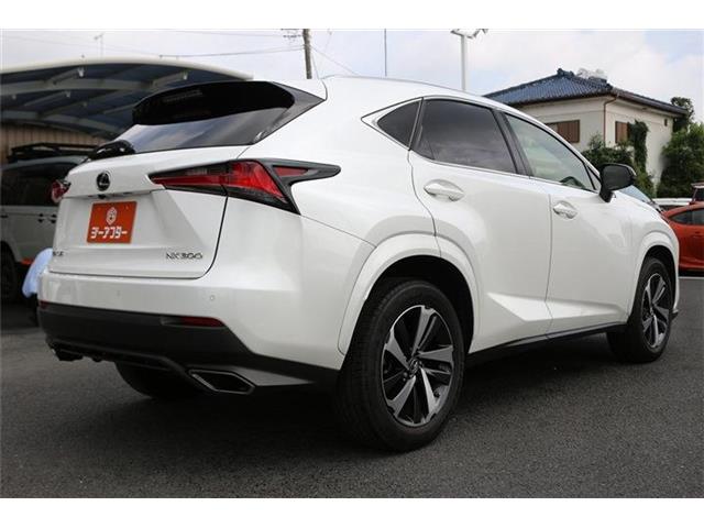 Lexus NX 6