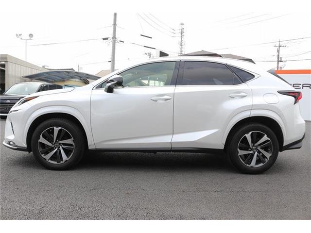 Lexus NX 9