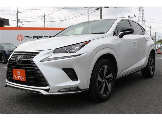 Lexus NX 10