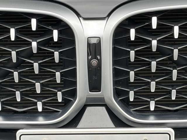 BMW X4 10