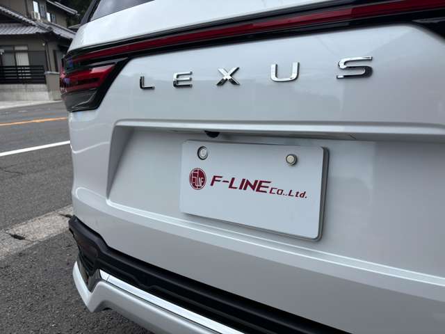 Lexus LX 11
