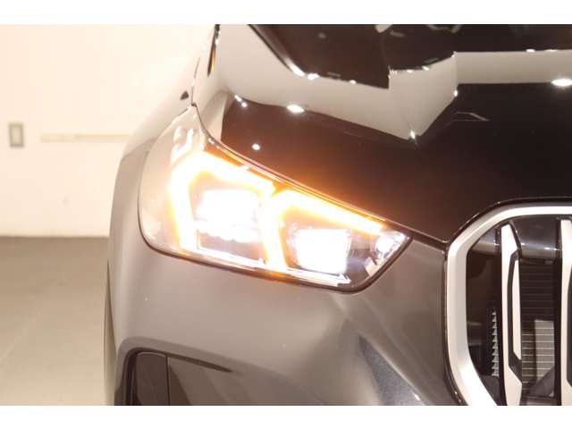 BMW X1 11