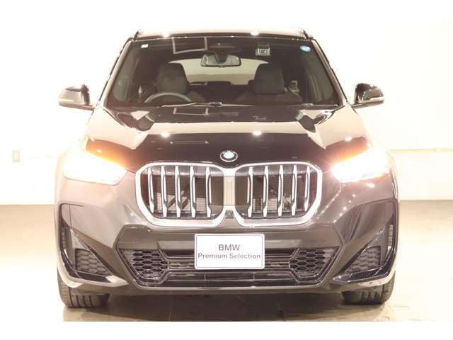BMW X1 9
