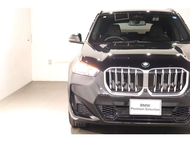 BMW X1 10