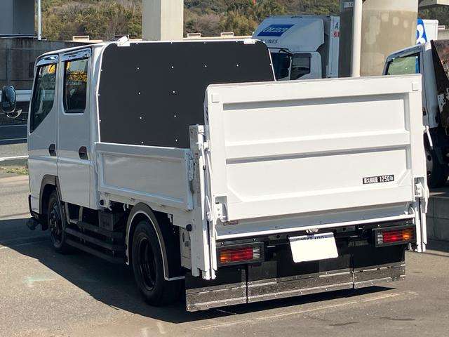 Mitsubishi Fuso Canter Guts 7