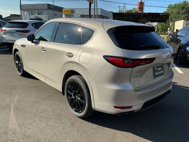 Mazda CX-60 11
