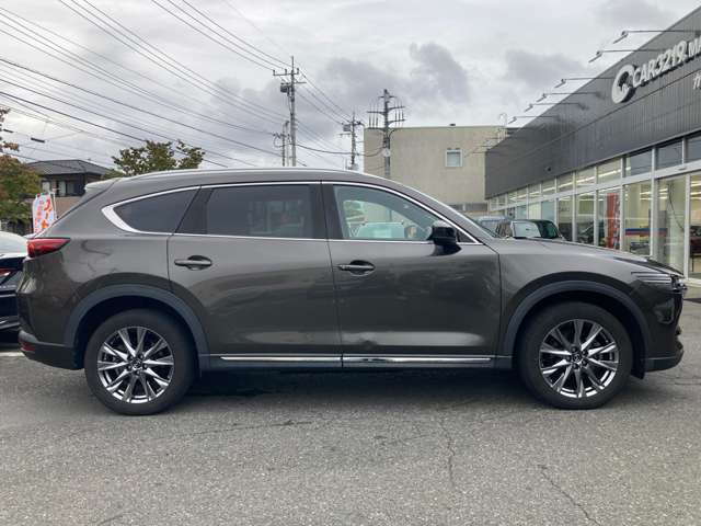 Mazda CX-8 11