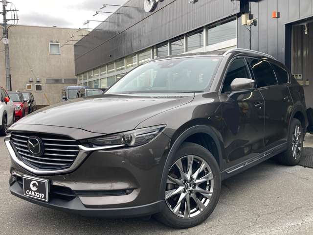 Mazda CX-8 10