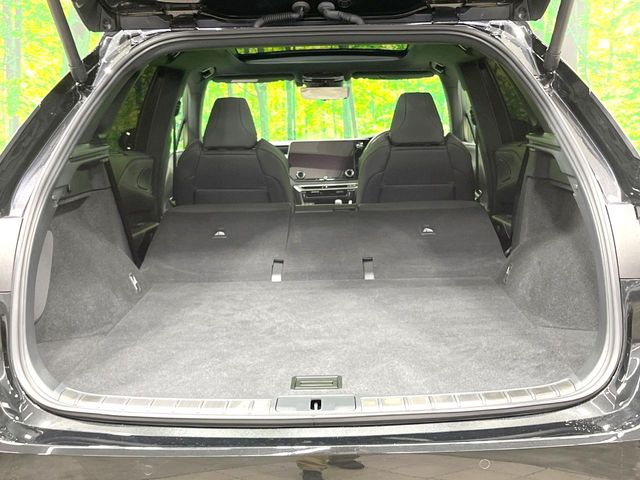 Lexus RX 11