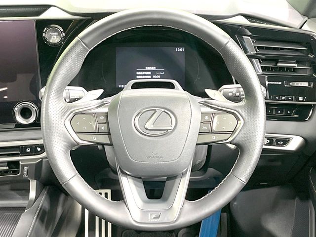 Lexus RX 12