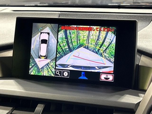 Lexus NX 4