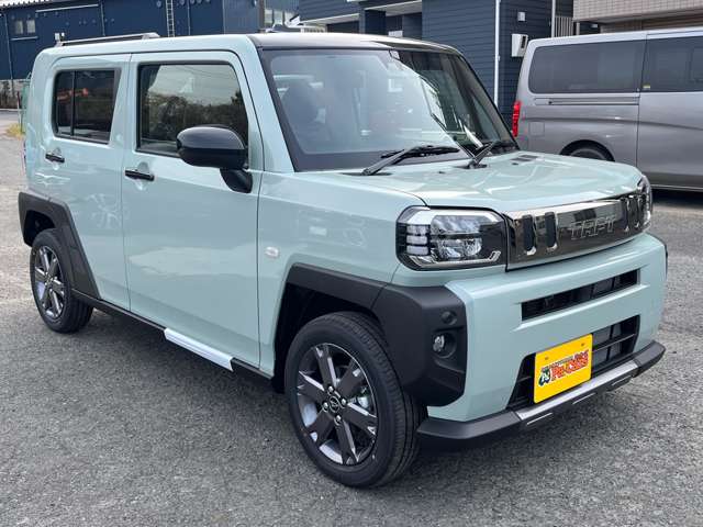 Daihatsu Taft 6
