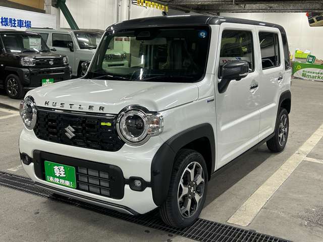 Suzuki Hustler 11