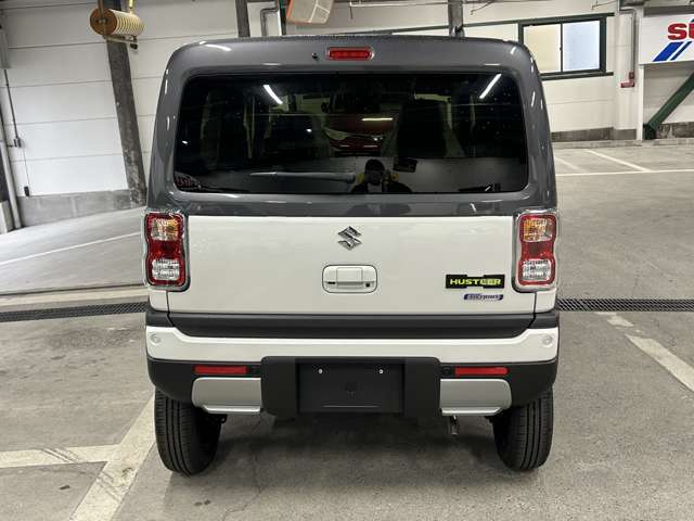 Suzuki Hustler 9