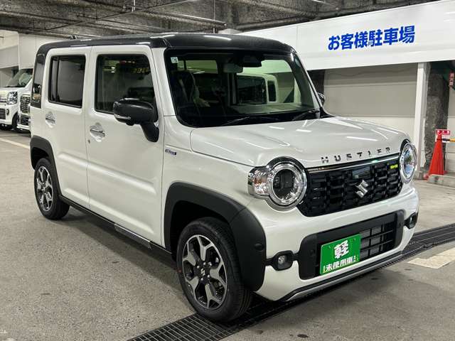 Suzuki Hustler 10