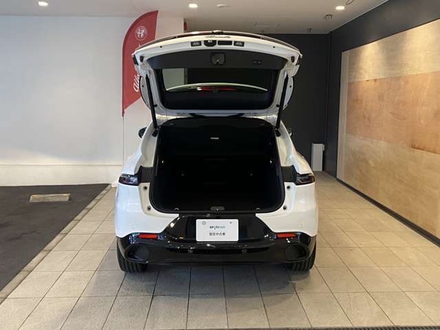 Alfa Romeo トナーレ 12