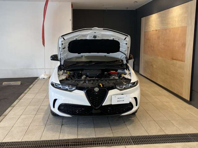 Alfa Romeo トナーレ 4