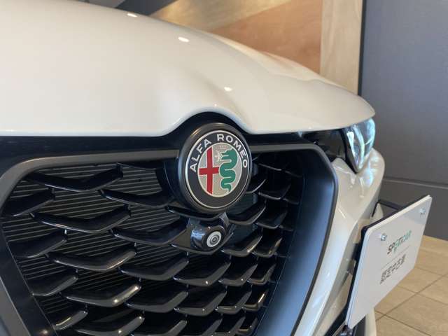 Alfa Romeo トナーレ 8