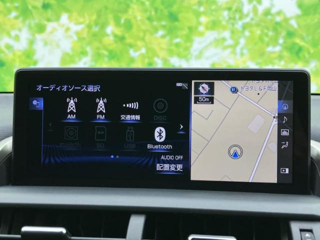 Lexus NX 12