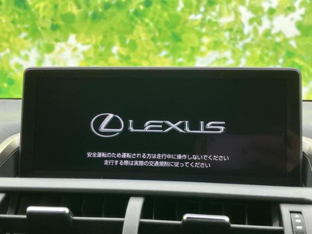 Lexus NX 4