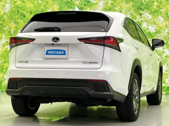 Lexus NX 6