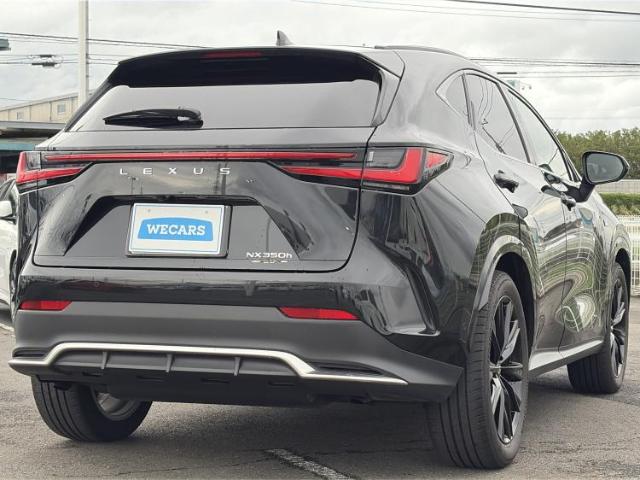 Lexus NX 6