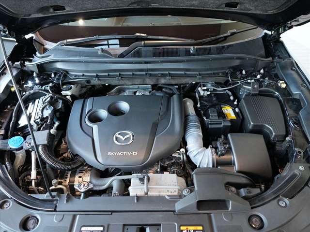 Mazda CX-8 11
