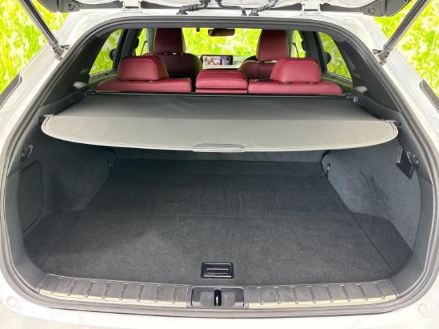 Lexus RX 10