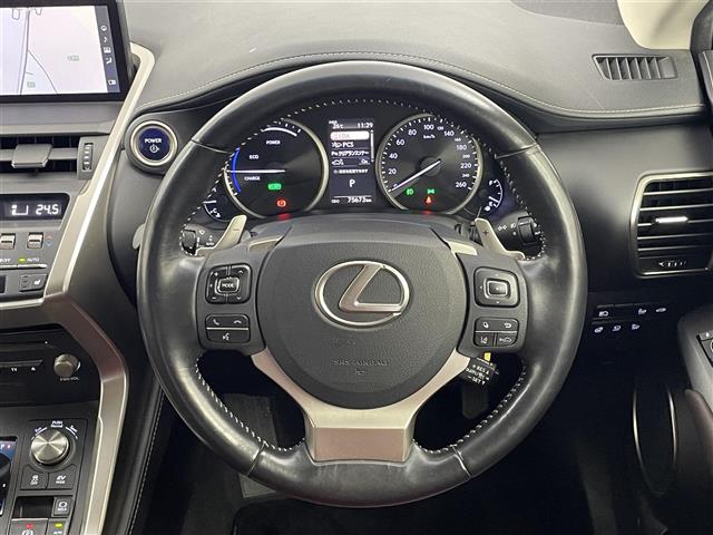 Lexus NX 11