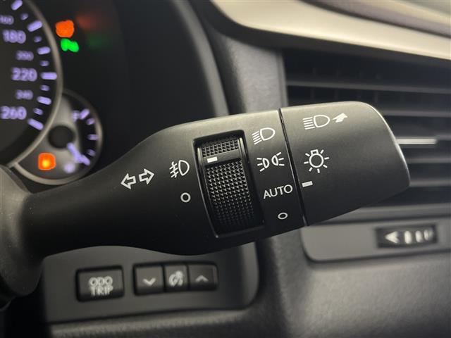 Lexus RX 12