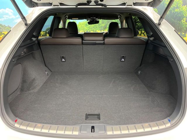 Lexus RX 11
