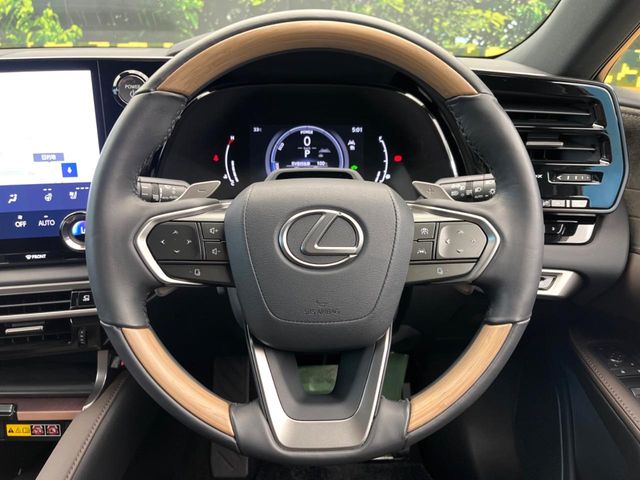 Lexus RX 12