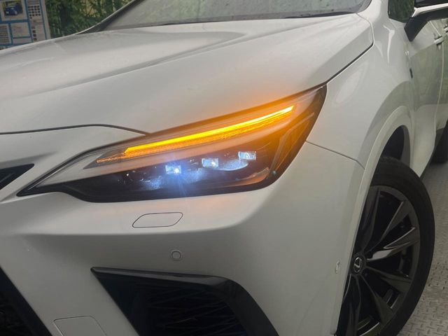 Lexus NX 12