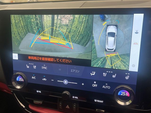 Lexus NX 6