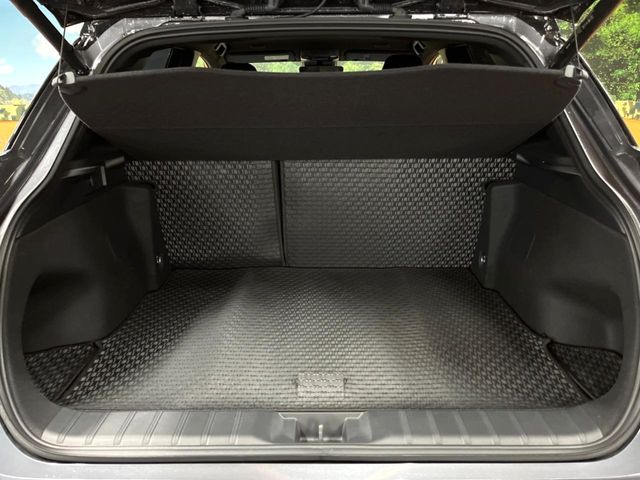 Lexus LBX 10
