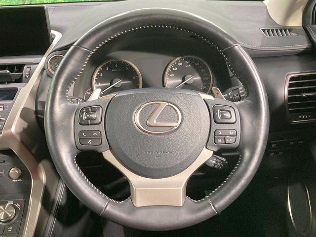 Lexus NX 11