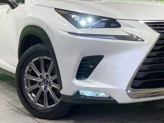 Lexus NX 12