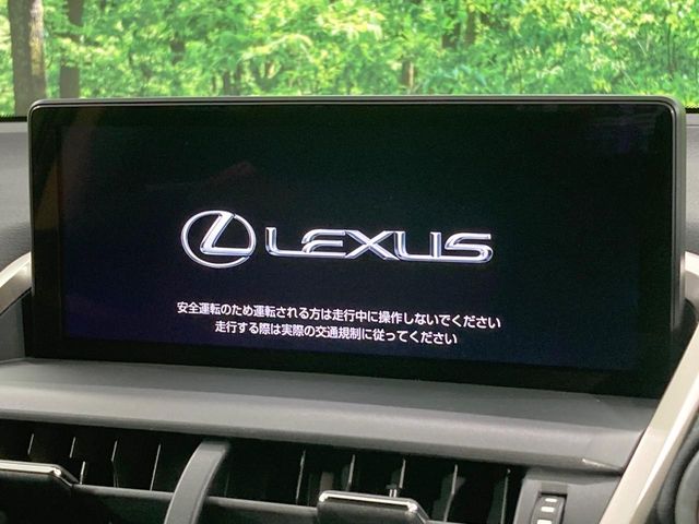 Lexus NX 3