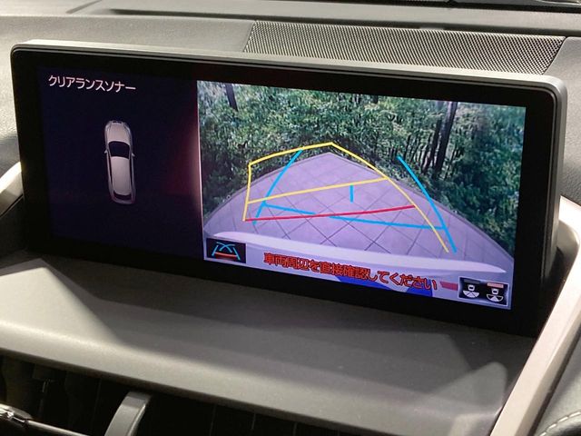 Lexus NX 4