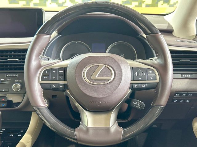 Lexus RX 11