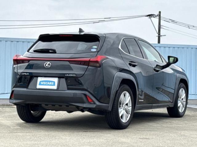 Lexus UX 6