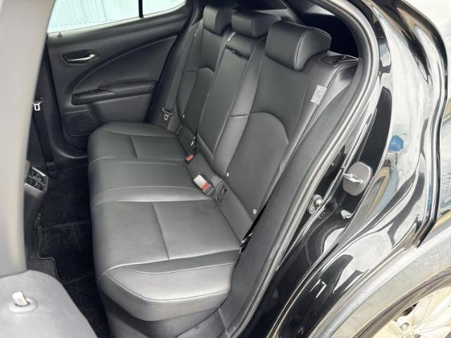 Lexus UX 9