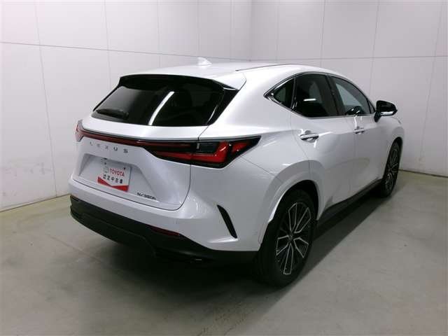 Lexus NX 4