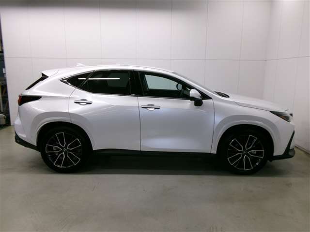 Lexus NX 6