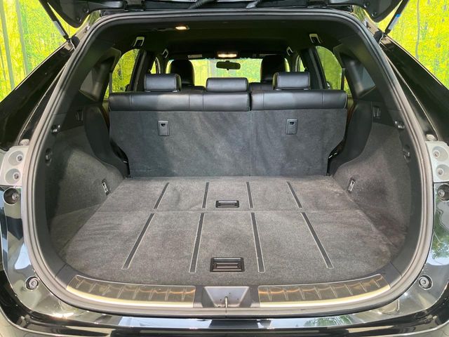 Toyota Harrier 10