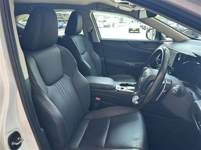 Lexus NX 6