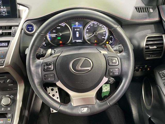Lexus NX 11