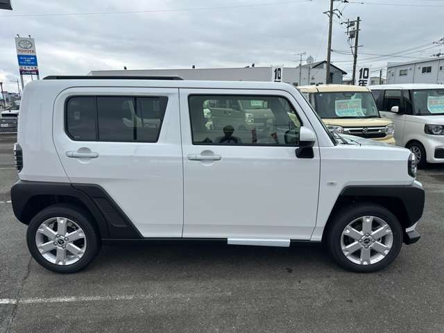 Daihatsu Taft 8