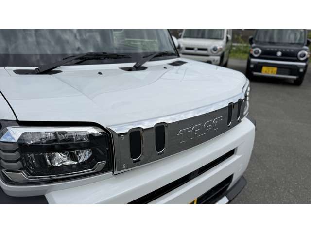 Daihatsu Taft 11