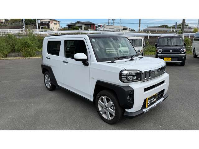 Daihatsu Taft 8